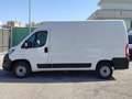 Fiat Ducato 33 MH2 2.3MJ FURGONE PASSO MEDIO T.ALTO 3 PTI-2021 Beyaz - thumbnail 6