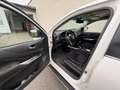 Nissan NP300 Navara D231 Weiß - thumbnail 6