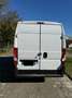 Fiat Ducato 2.3 130 tetto alto White - thumbnail 5