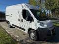 Fiat Ducato 2.3 130 tetto alto White - thumbnail 1