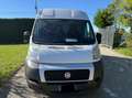 Fiat Ducato 2.3 130 tetto alto White - thumbnail 2