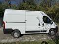 Fiat Ducato 2.3 130 tetto alto White - thumbnail 3