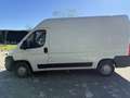 Fiat Ducato 2.3 130 tetto alto White - thumbnail 6