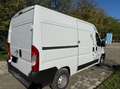 Fiat Ducato 2.3 130 tetto alto White - thumbnail 4