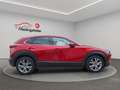 Mazda CX-30 Selection, ACC, Navi, SHZ, PDC, 8-fach Rot - thumbnail 6