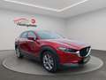 Mazda CX-30 Selection, ACC, Navi, SHZ, PDC, 8-fach Rot - thumbnail 7
