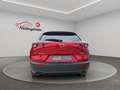 Mazda CX-30 Selection, ACC, Navi, SHZ, PDC, 8-fach Rot - thumbnail 4