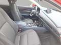 Mazda CX-30 Selection, ACC, Navi, SHZ, PDC, 8-fach Rot - thumbnail 20