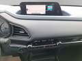 Mazda CX-30 Selection, ACC, Navi, SHZ, PDC, 8-fach Rot - thumbnail 16