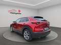 Mazda CX-30 Selection, ACC, Navi, SHZ, PDC, 8-fach Rot - thumbnail 3