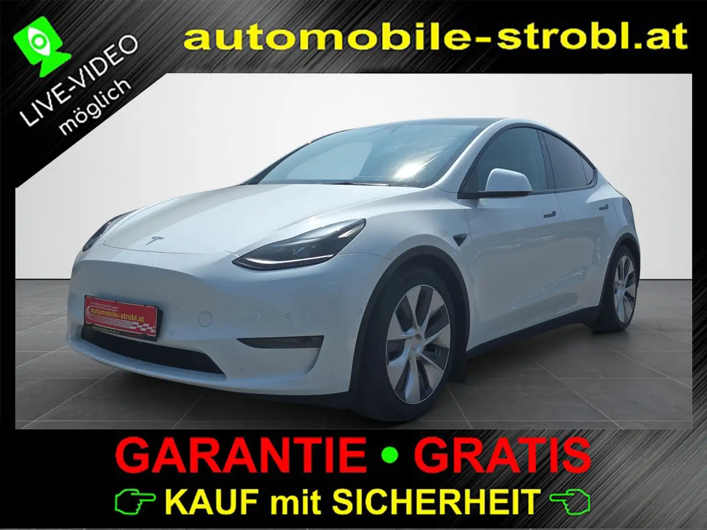Tesla Model Y Long R. AWD Netto:27.400€ GARANTIE White - 1