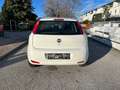 Fiat Punto Punto 1,2 69 Nuova Collezione Nuova Collezione White - thumbnail 2