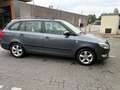 Skoda Fabia 1.2 TDI Greenline Серый - thumbnail 5