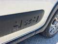 Fiat Panda 4x4 1,3 Multijet II 95 Pop - thumbnail 17