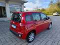Fiat Panda 1.0 firefly hybrid s km 0 NO OBBLIGO FINANZIAMENTO Rot - thumbnail 4