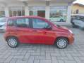 Fiat Panda 1.0 firefly hybrid s km 0 NO OBBLIGO FINANZIAMENTO Rot - thumbnail 5