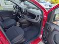 Fiat Panda 1.0 firefly hybrid s km 0 NO OBBLIGO FINANZIAMENTO Rot - thumbnail 8