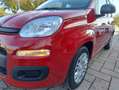 Fiat Panda 1.0 firefly hybrid s km 0 NO OBBLIGO FINANZIAMENTO Rot - thumbnail 15