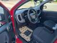 Fiat Panda 1.0 firefly hybrid s km 0 NO OBBLIGO FINANZIAMENTO Rot - thumbnail 7