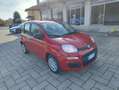 Fiat Panda 1.0 firefly hybrid s km 0 NO OBBLIGO FINANZIAMENTO Rot - thumbnail 3