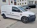 Volkswagen Caddy Maxi Kastenwagen 2.0 TDI 4Motion – 115.00... Weiß - thumbnail 36