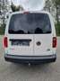 Volkswagen Caddy Maxi Kastenwagen 2.0 TDI 4Motion – 115.00... Weiß - thumbnail 15