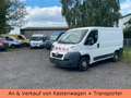 Peugeot Boxer HDi 2.2 HDi - TÜV NEU - AHK Bílá - thumbnail 16