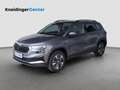 Skoda Karoq 4x4 Ambition TDI DSG Grau - thumbnail 1