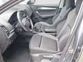 Skoda Karoq 4x4 Ambition TDI DSG Grau - thumbnail 7