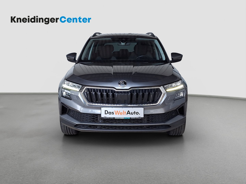 Skoda Karoq 4x4 Ambition TDI DSG — photo 2