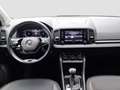 Skoda Karoq 4x4 Ambition TDI DSG Grau - thumbnail 9