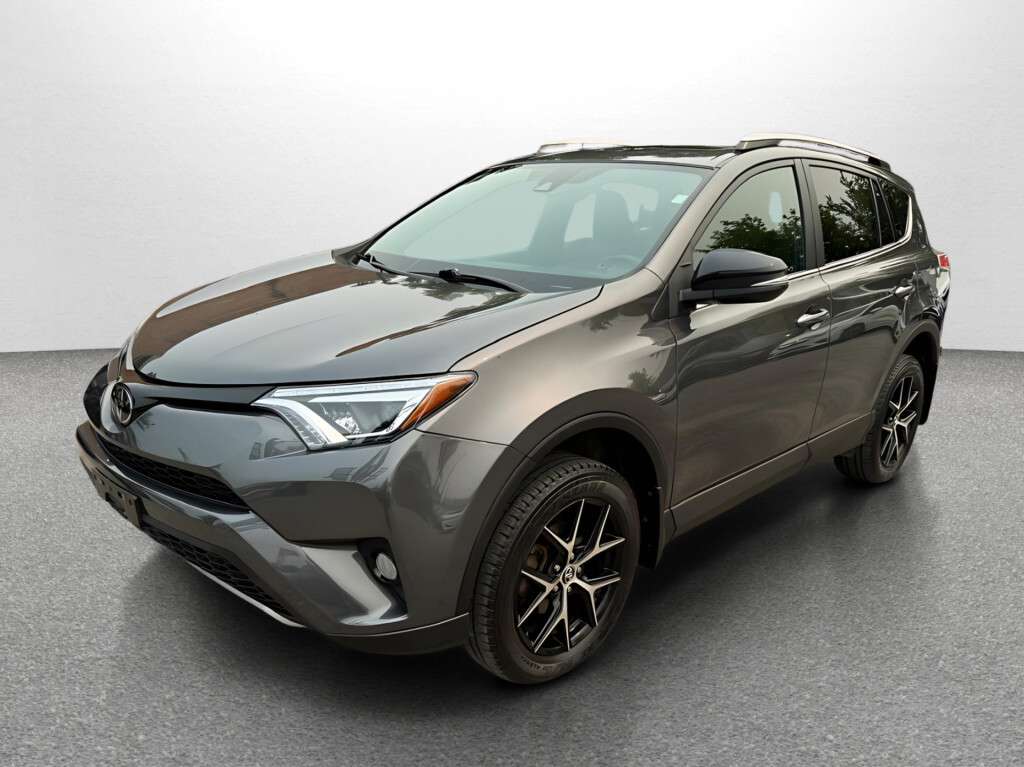 2018 Toyota RAV 4 SE 4dr SUV AWD
