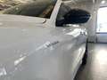 Alfa Romeo Stelvio Stelvio 2.2 t Veloce Q4 210cv auto Bianco - thumbnail 18