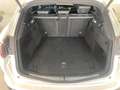Alfa Romeo Stelvio Stelvio 2.2 t Veloce Q4 210cv auto Bianco - thumbnail 15
