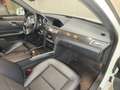 Mercedes-Benz E 250 T Avantgarde CDI Aut. 4matic - thumbnail 9