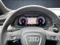 Audi Q8 Q8 50 TDI QUATTRO S-LINE PANO AHK STANDH. Albastru - thumbnail 8