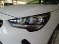 Opel Corsa F 1.2 EDITION inkl. 5 Jahre Garantie (G5) Blanc - thumbnail 9