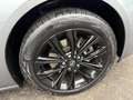 Opel Insignia C 2.0 CDTi Sports Tourer Automatik (PANORAMADACH) Grau - thumbnail 21