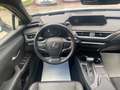 Lexus UX 250h Hybrid Premium Argento - thumbnail 12