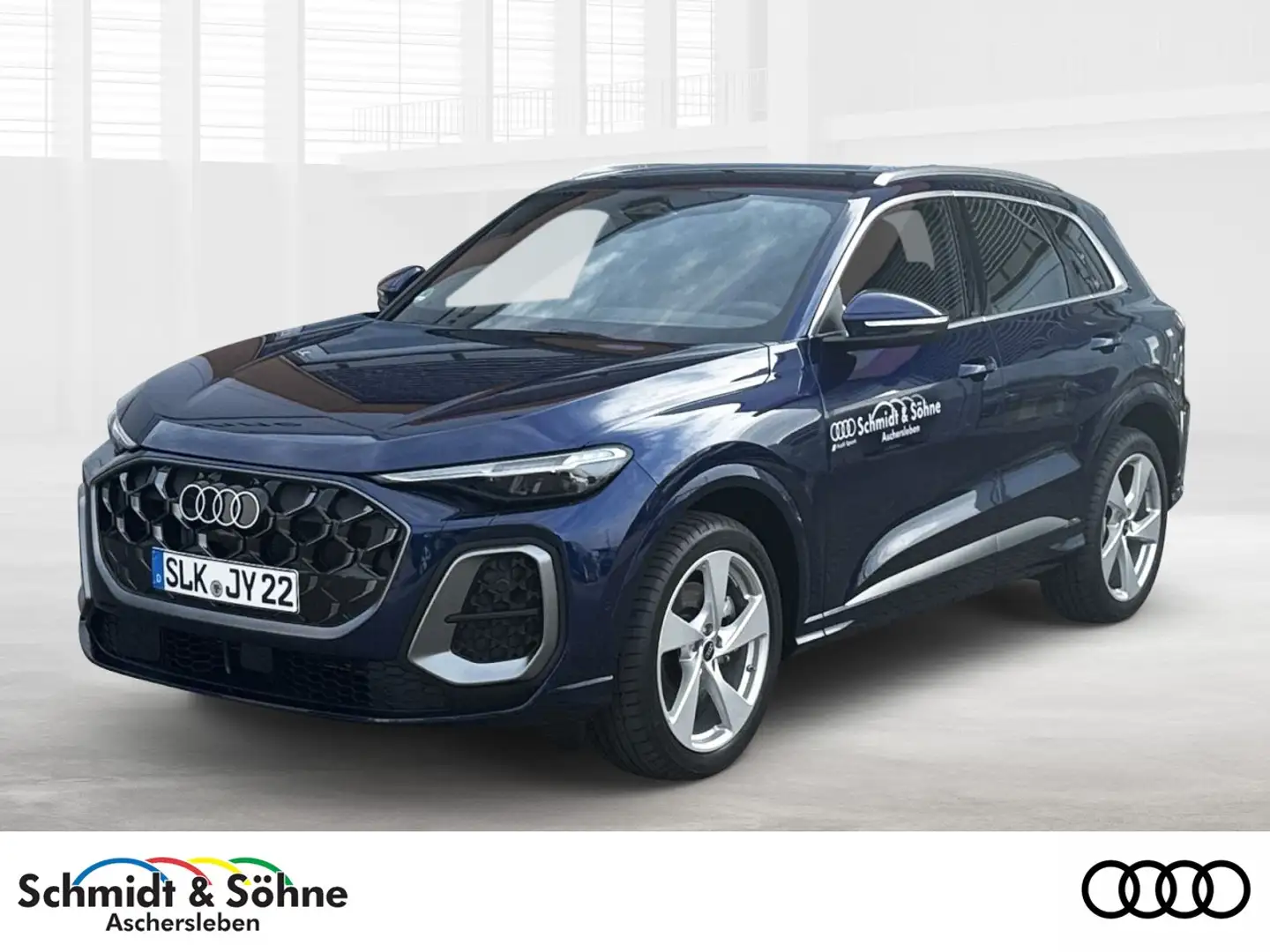Audi Q5 TDI quattro S line LUFT+LEDER+B&O+HEAD+TOTW Klima Blau - 1