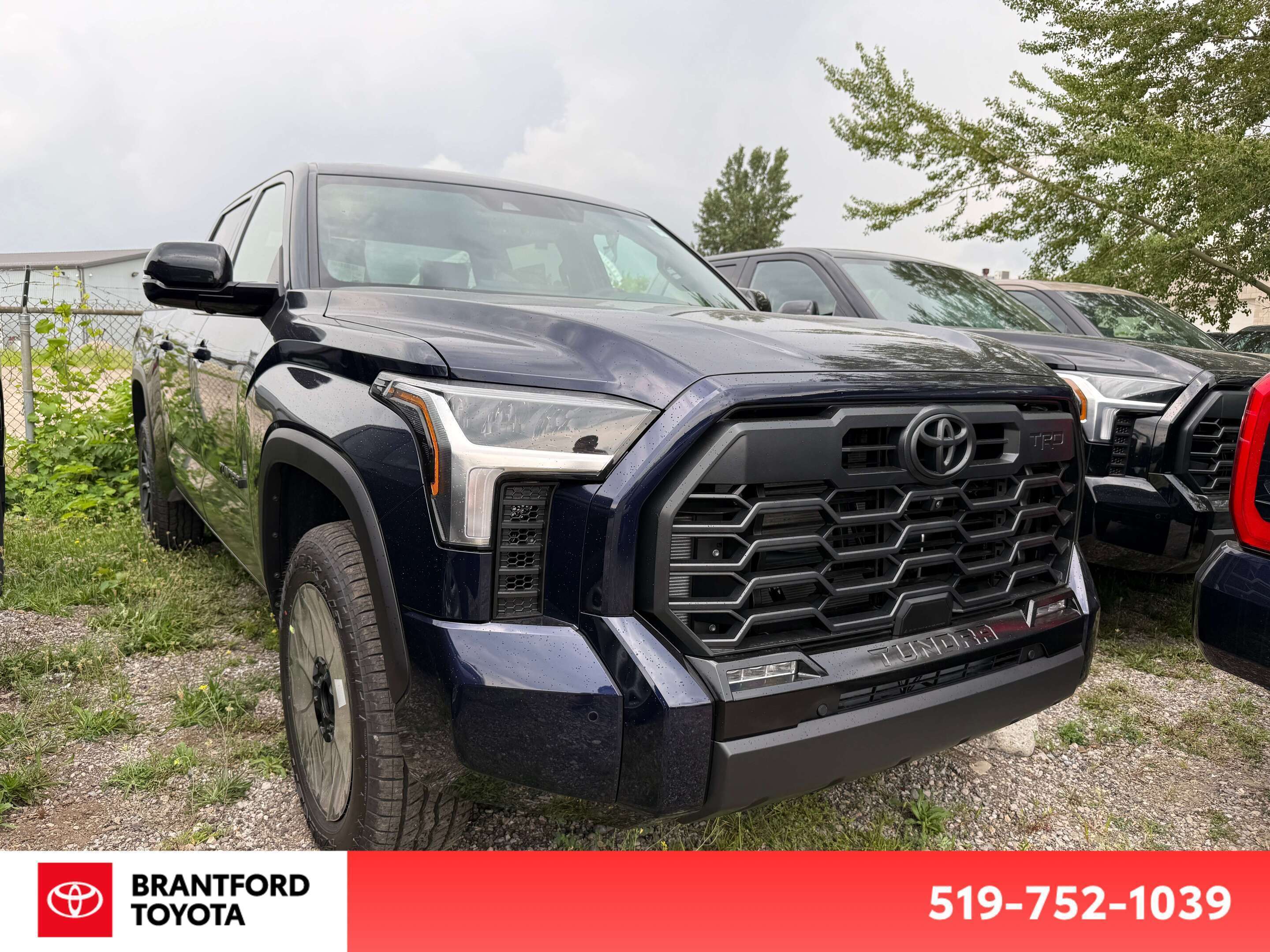 Blue 2026 Toyota Tundra Pickup Truck  Automatic