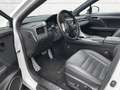 Lexus RX 450h AWD F Sport PANO HUD MATRIX MARK LEVINSON Weiß - thumbnail 10