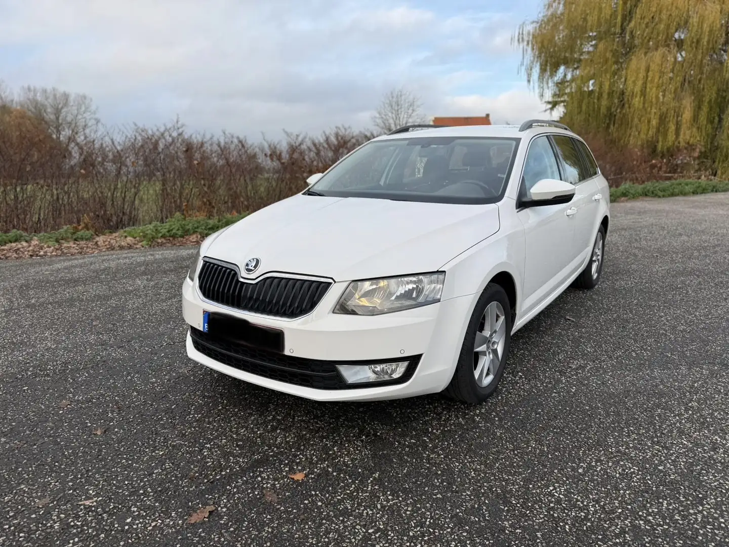 Skoda Octavia Combi 1.6 TDI Green tec Ambition - 1