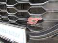 Ford Puma ST X - Performance/AHK/Pano/Keyfree/TWA/Kamera Noir - thumbnail 23