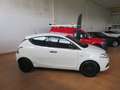 Lancia Ypsilon Ypsilon III 2015 1.2 Elefantino Blu s Bianco - thumbnail 3