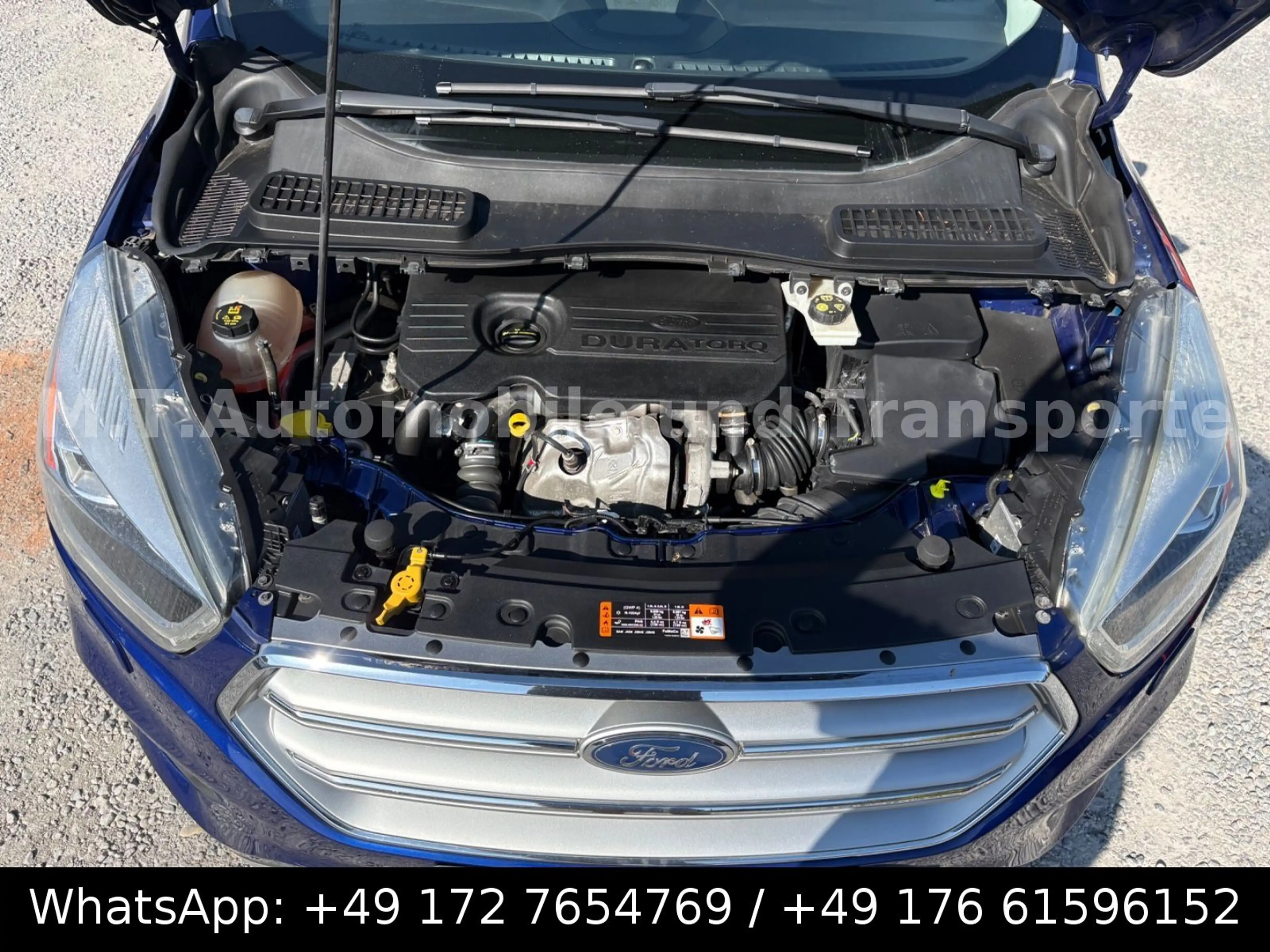 Ford Kuga Business Edition — photo 19