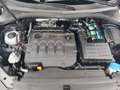 Volkswagen Tiguan 2.0TDI Sport 4Motion DSG 110kW Gris - thumbnail 33