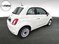 Fiat 500 500 1.0i MHEV Dolcevita Blanc - thumbnail 3