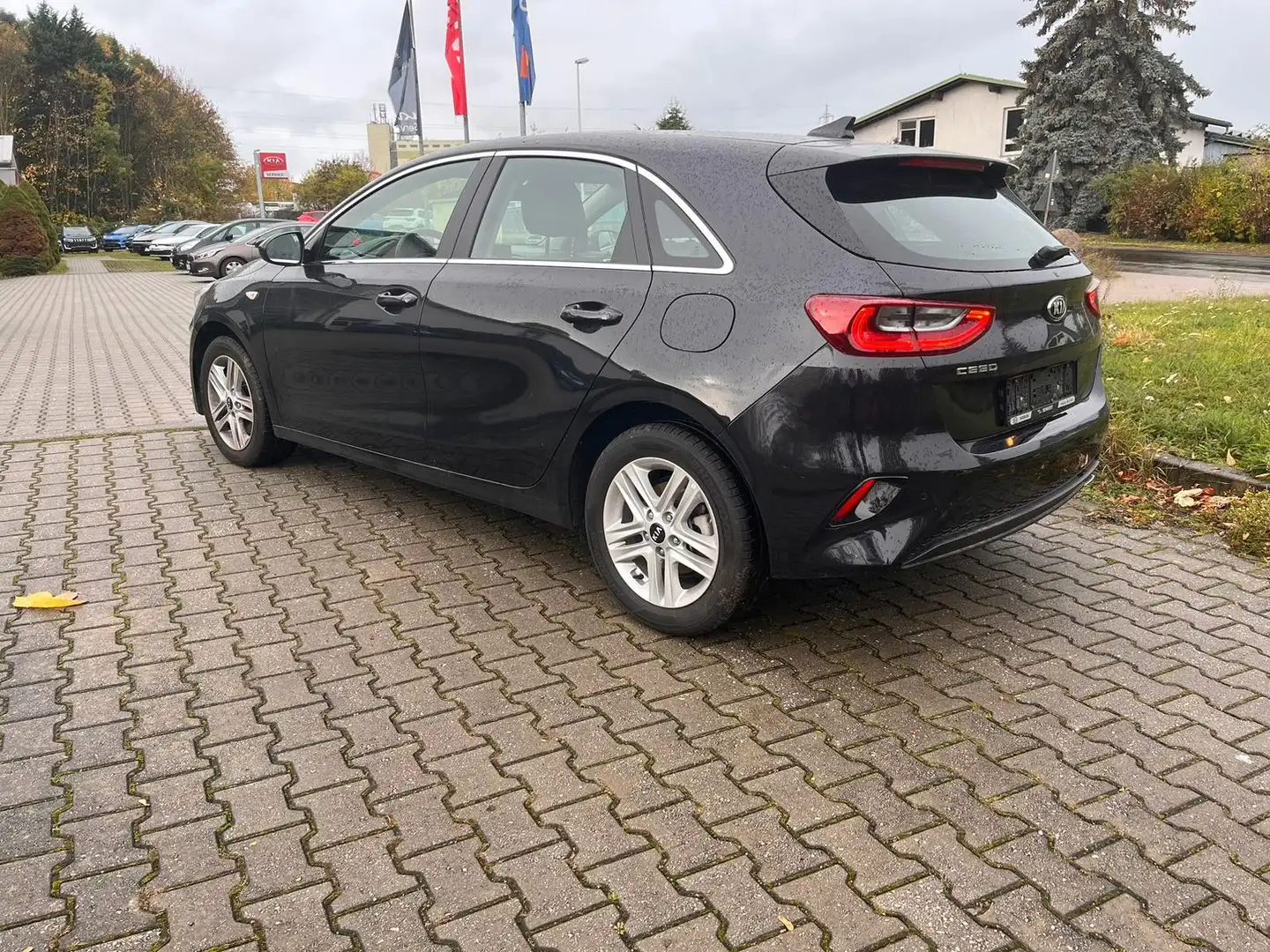Kia Ceed / cee'd Ceed 1.5T DCT Vision Navi Komfort 16"/S.heiz/PDC Schwarz - 2