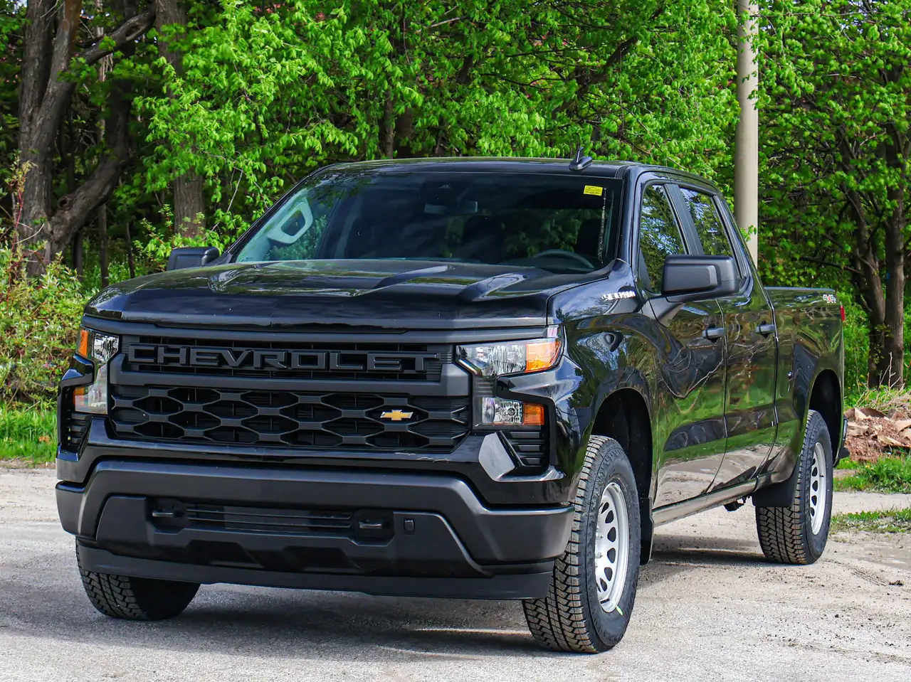 Chevrolet Silverado 1500 снимка Chevrolet Silverado 1500